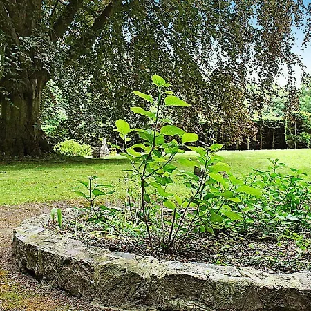 Holiday Vi